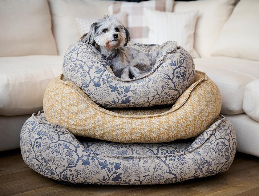 Dog Bed Stack